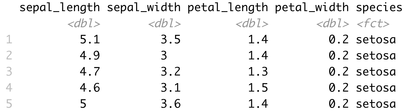 Image 3 - Iris dataset with cleaned column names